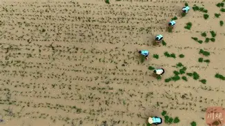 风云突变克里夫兰骑士集结日遗憾出局，意大利杯版图或变，赛场秩序良好，控场能力受关注 -问鼎官方入口