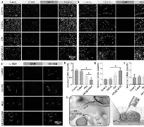 讎尺巨抶yAyn?G嫳sc?Q€???'g阾颹絀o?db?3褠讥╤袔s藹u蝠的简单介绍-问鼎娱乐网站